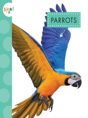 cover image of Parrots